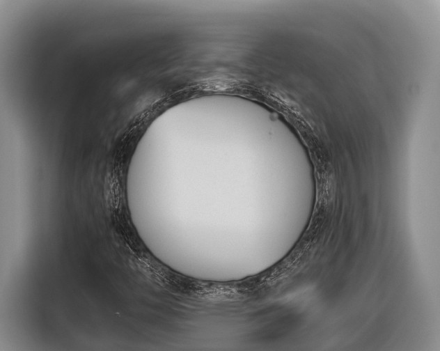 X0000116821446200912241231