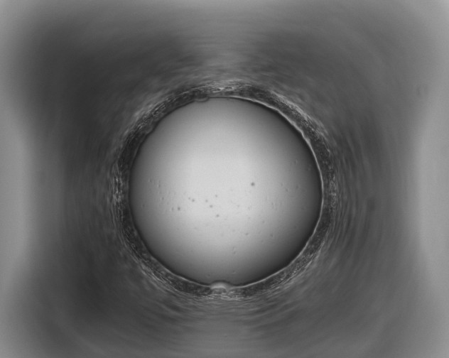 X0000116821447200912241231