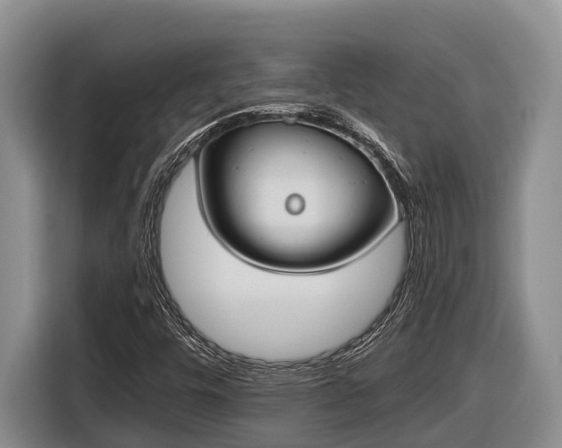 X0000116821448200912241231