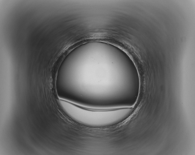 X0000116821449200912241231