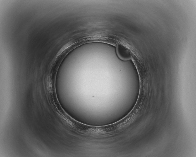 X0000116821450200912241231