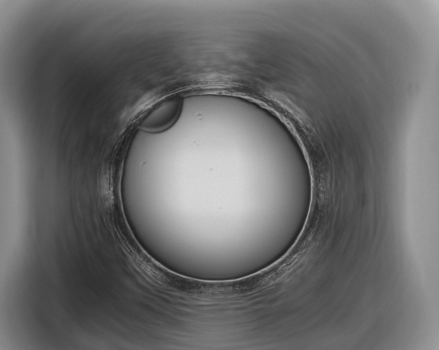 X0000116821451200912241231