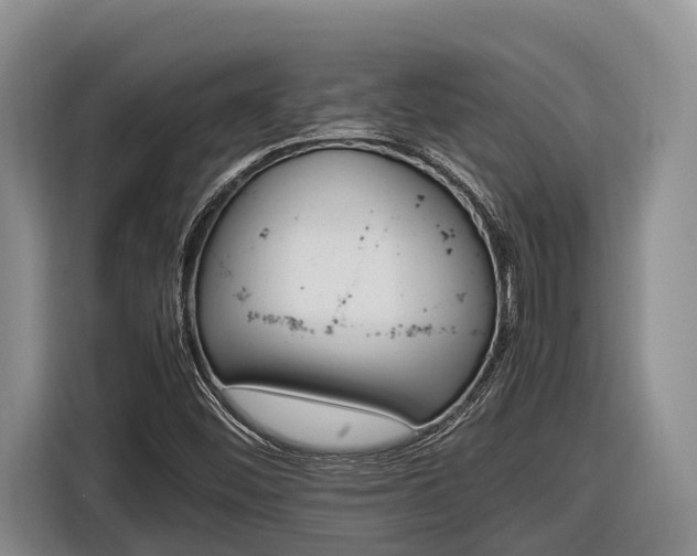 X0000116821452200912241231