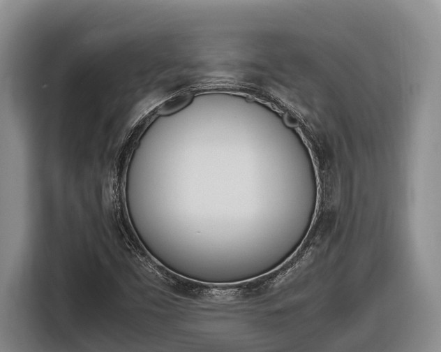 X0000116821453200912241231