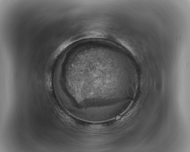 X0000116821455200912241231