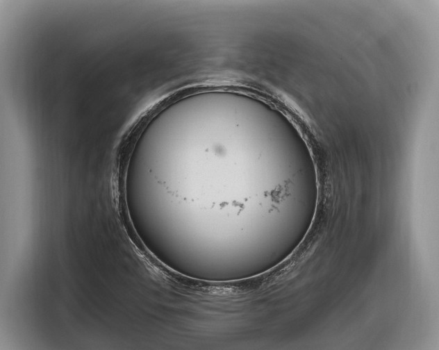 X0000116821456200912241231