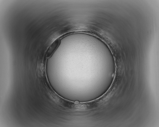 X0000116821457200912241231