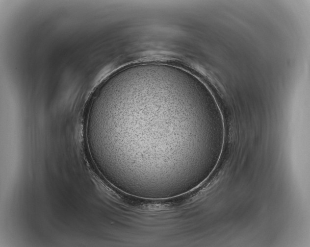 X0000116821459200912241231