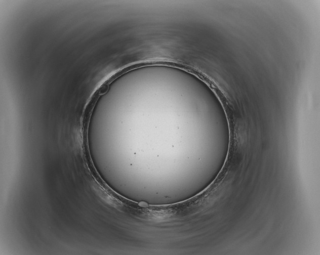 X0000116821460200912241231