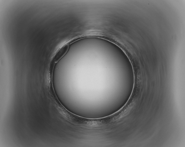 X0000116821461200912241231