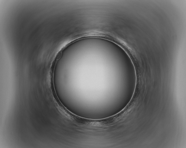 X0000116821463200912241231