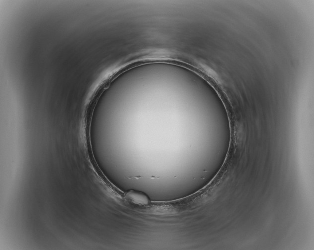 X0000116821464200912241231