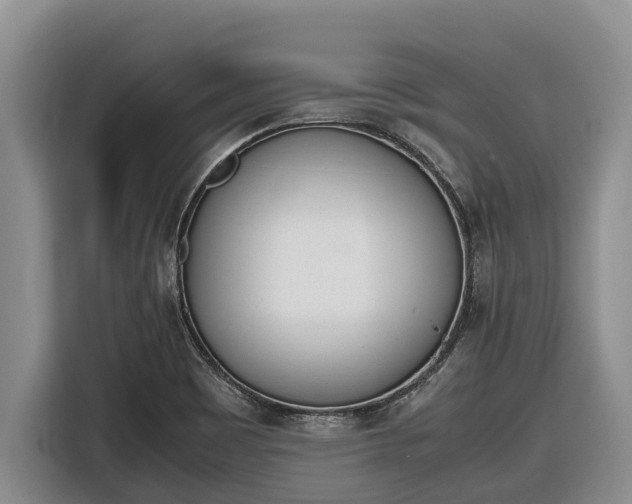 X0000116821465200912241231