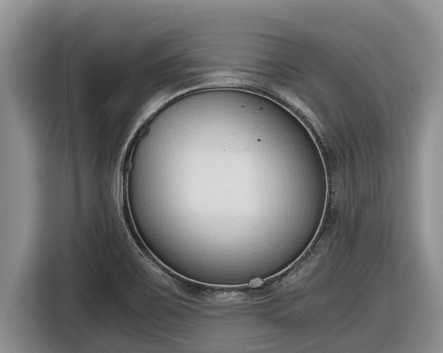 X0000116821467200912241231