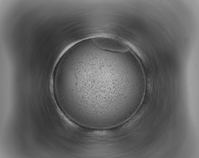 X0000116821468200912241231