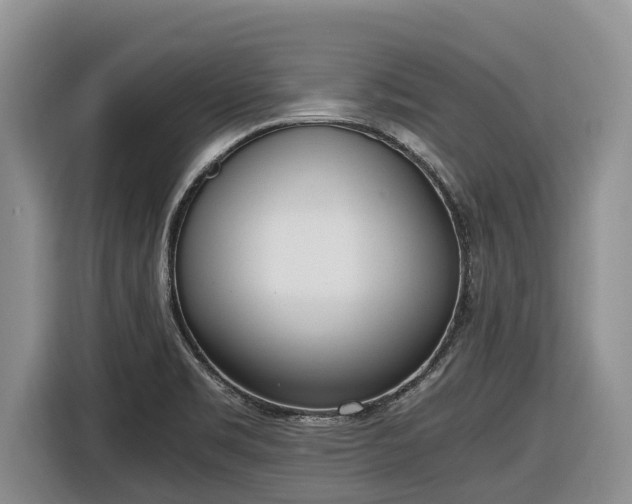 X0000116821469200912241231