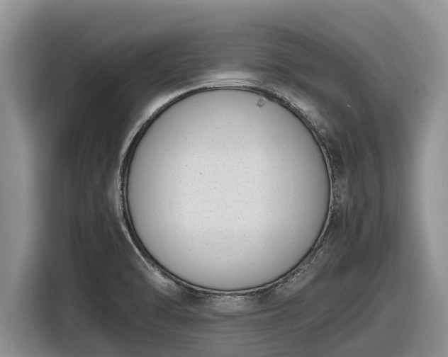 X0000116821470200912241231