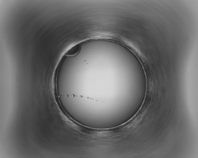 X0000116821471200912241231