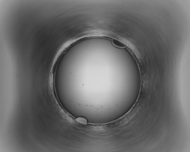 X0000116821472200912241231