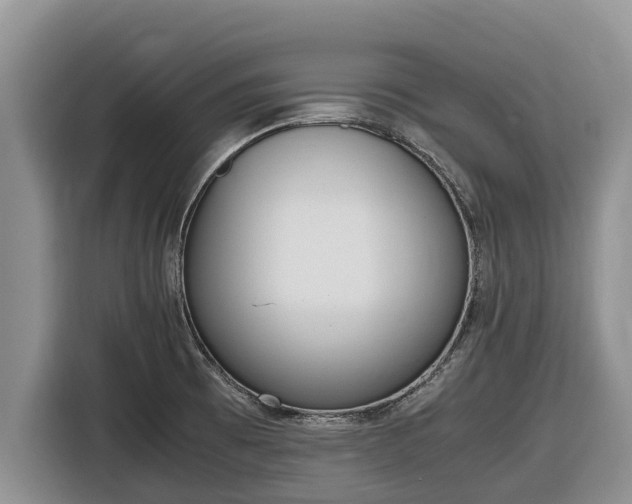 X0000116821473200912241231