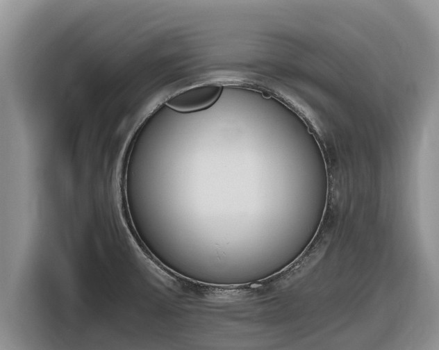 X0000116821475200912241231