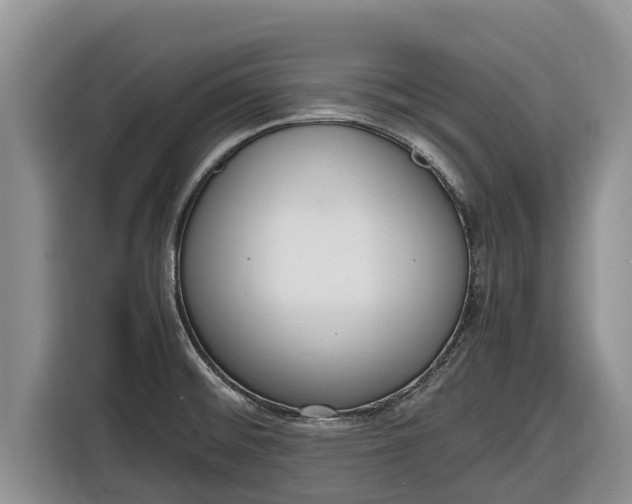 X0000116821476200912241231