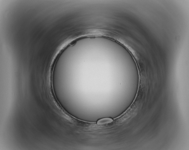 X0000116821477200912241231