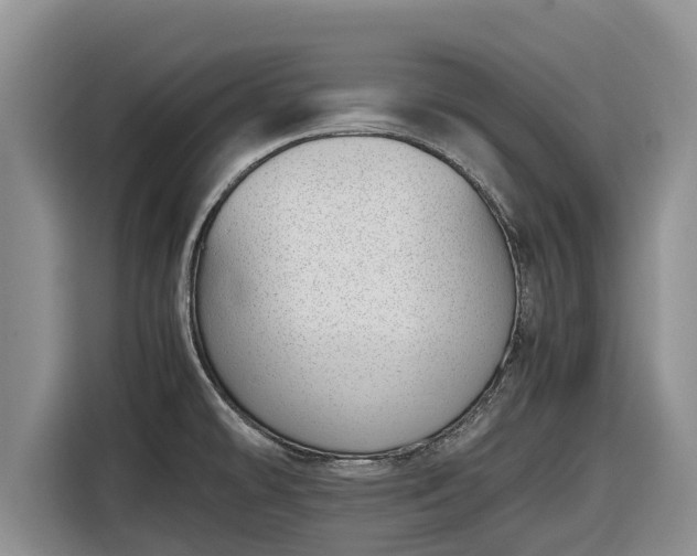 X0000116821478200912241231