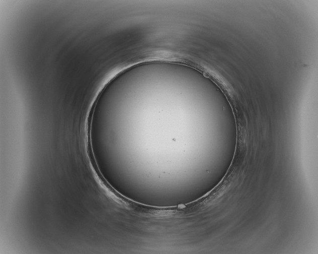 X0000116821479200912241231