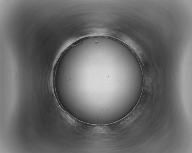 X0000116821480200912241231