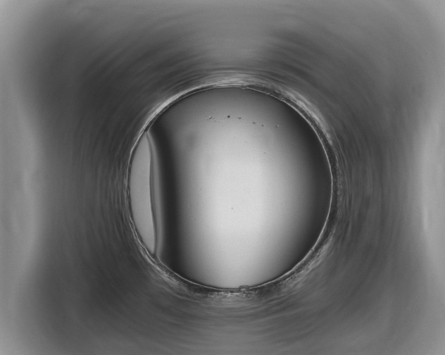 X0000116821481200912241231