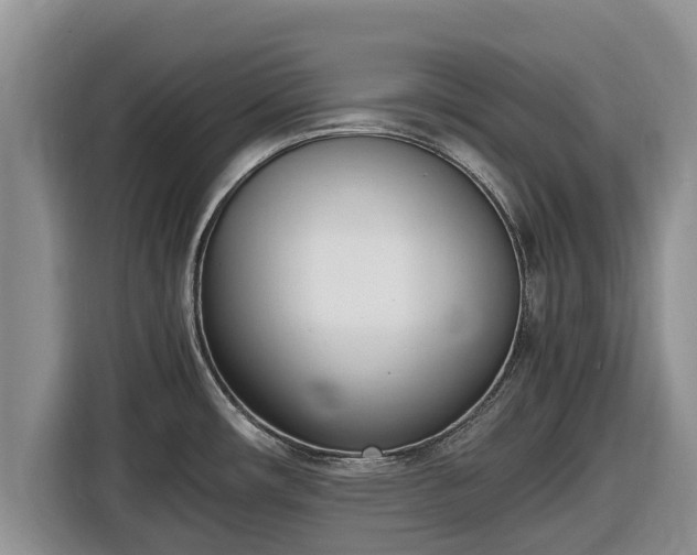 X0000116821482200912241231