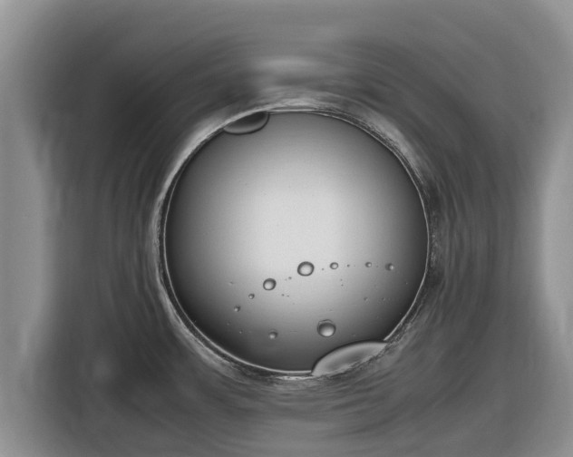 X0000116821483200912241231