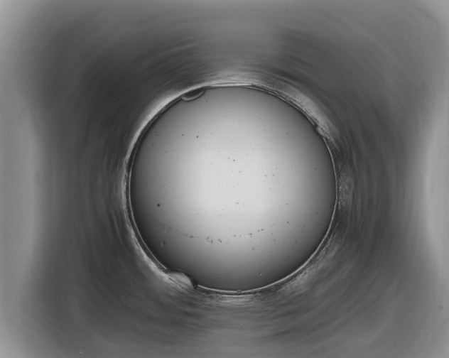 X0000116821484200912241231