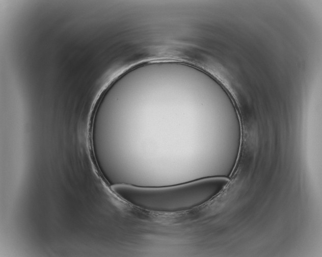 X0000116821485200912241231