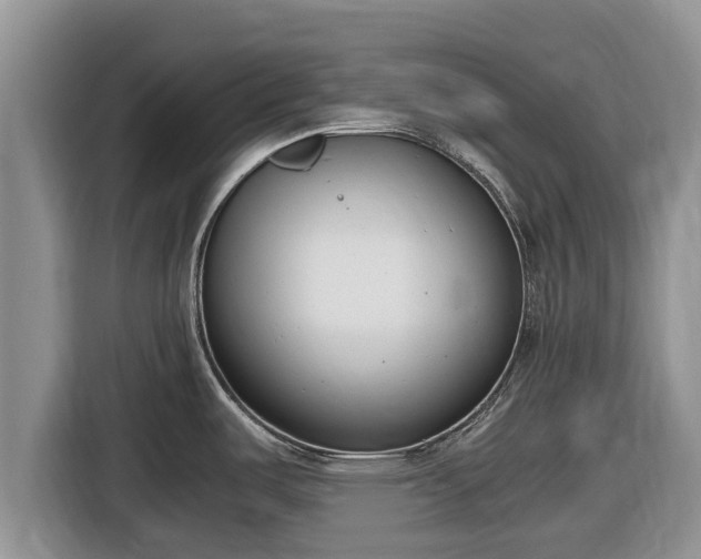 X0000116821487200912241231