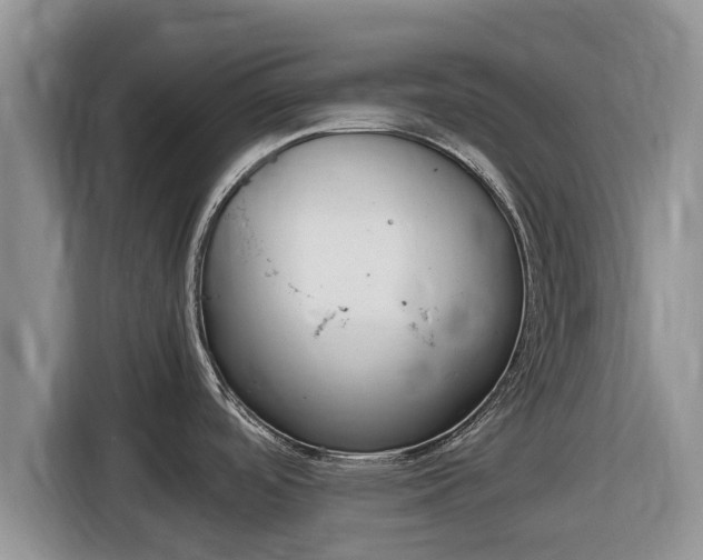 X0000116821488200912241231