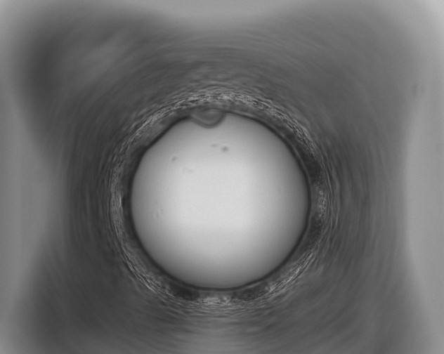 X0000116821489200912241230