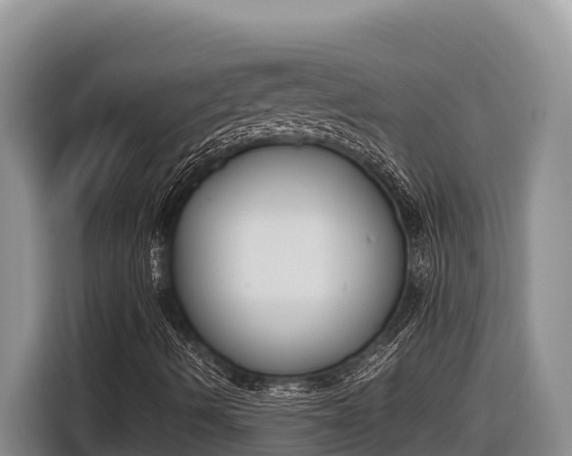 X0000116821490200912241230