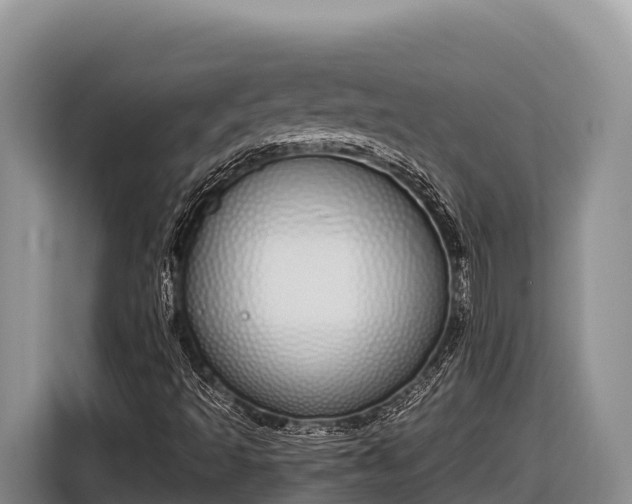 X0000116821493200912241230