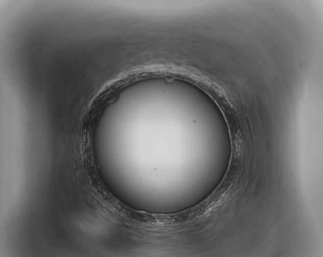 X0000116821494200912241230