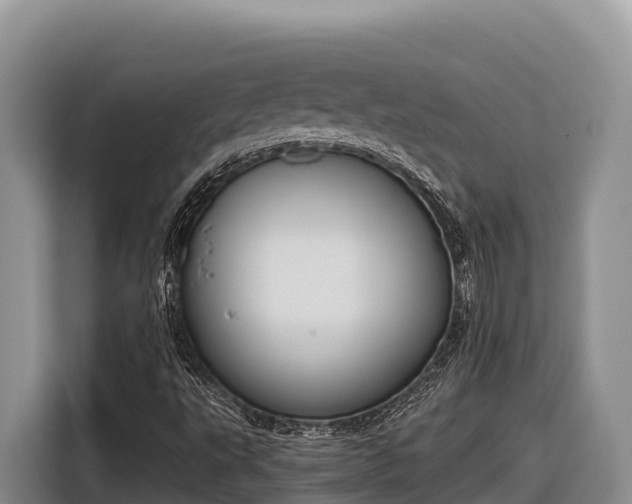 X0000116821495200912241230