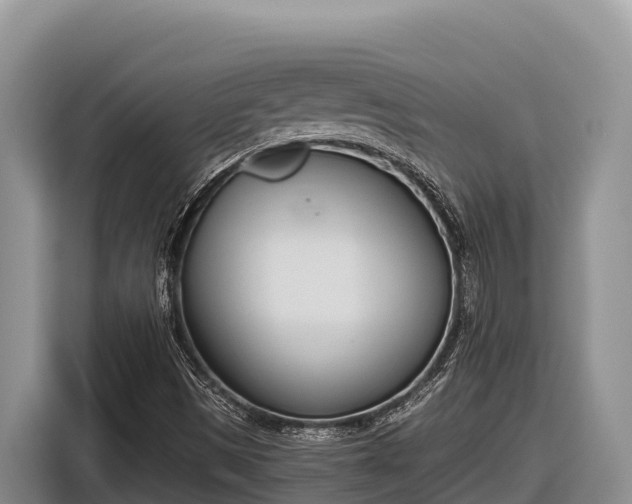 X0000116821497200912241230