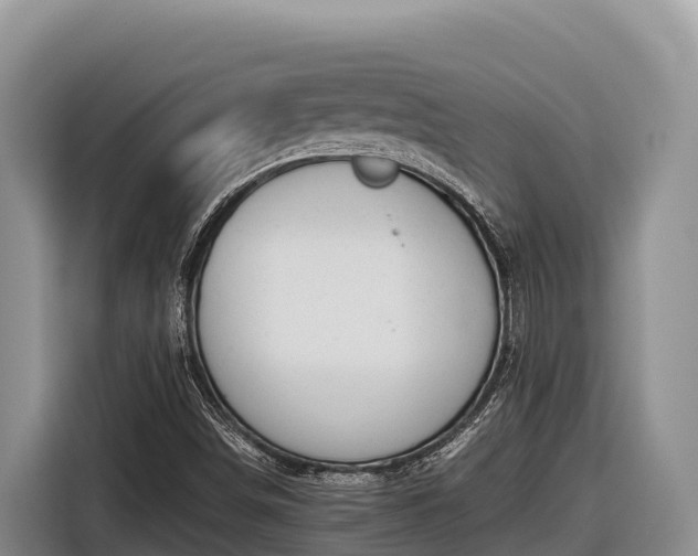 X0000116821498200912241230