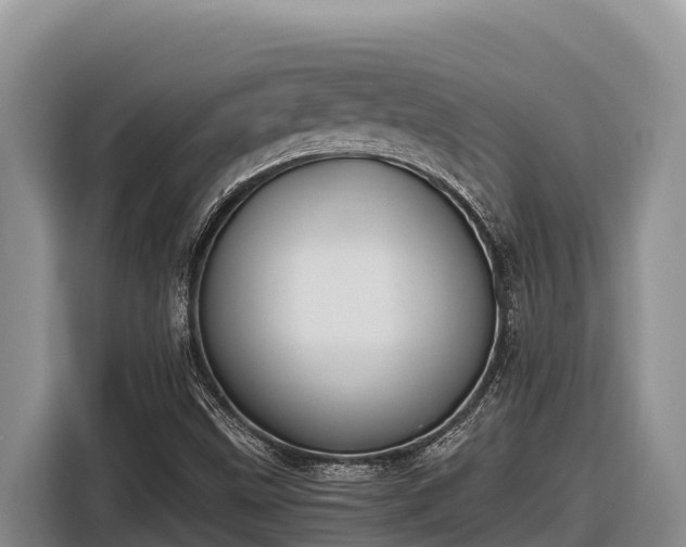 X0000116821499200912241230