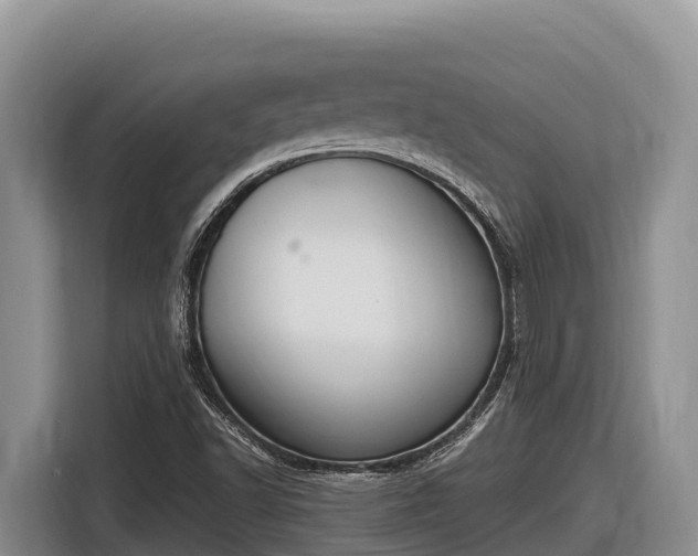 X0000116821502200912241230