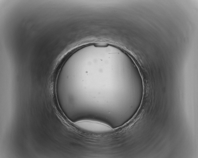 X0000116821503200912241230