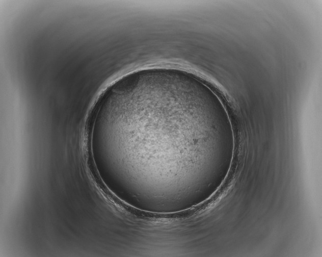 X0000116821506200912241230