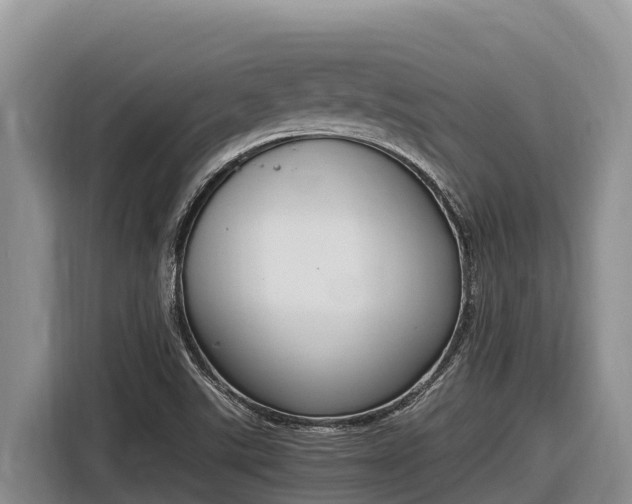 X0000116821507200912241230