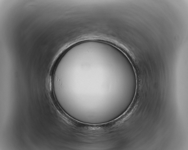 X0000116821509200912241230